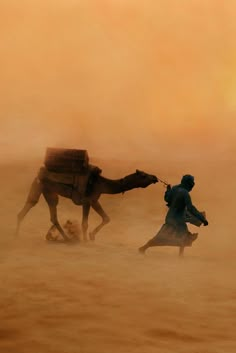 a man leading a camel in the desert with dust blowing around him and his dog