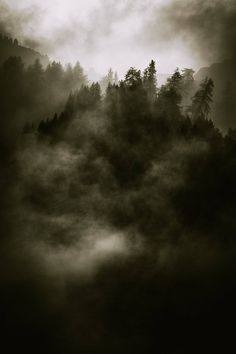 a black and white photo of trees in the fog on a mountain side with dark clouds