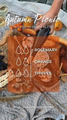 Thieves Diffuser Blends, Lion House, Thieves Essential Oil