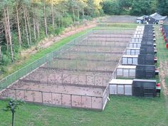 many cages are lined up on the grass in front of some trees and bushes,