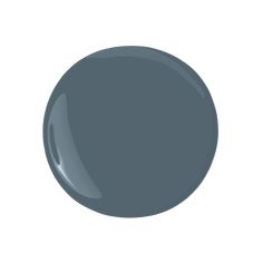 a dark gray color is shown on the white background, it looks like an oval shape