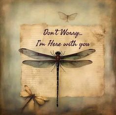 two dragonflys sitting on top of an old piece of paper with the words don't worry, i'm here with you