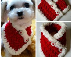 a small white dog wearing a red and white crocheted scarf with buttons on it's collar