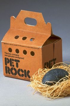 a small bird nest in front of a cardboard box with a pet rock inside it