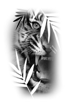 a black and white photo of a tiger's face with its mouth open showing teeth