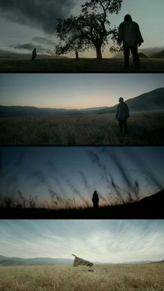 four different shots of people walking in the field at sunset or dawn, and one man is standing under a tree