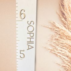 a tall ruler with the word sophia on it next to some dry grass