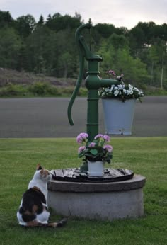 a cat sitting in the grass next to a potted plant on top of a fountain