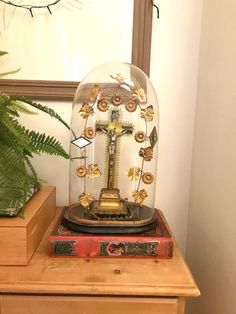 a clock is under a glass dome on top of a table next to a potted plant