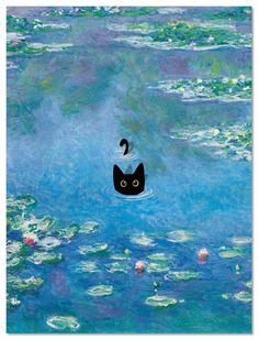 a black cat floating in the water with lily pads