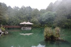 there is a gazebo in the middle of this green lake with trees around it