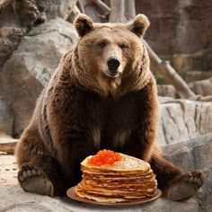 a brown bear sitting on top of a pile of pancakes