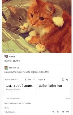 two cats laying on top of each other in front of a tweet page