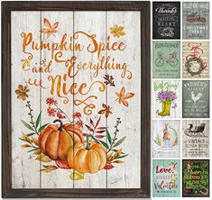 a wooden sign with pumpkins on it and the words pumpkin spice is everything you need