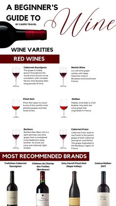 a wine tasting guide for red wines