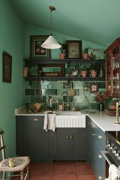 a kitchen with green walls and brown flooring is pictured in this image, there are potted plants on the shelves above the sink