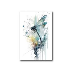 a watercolor painting of a dragonfly on a white background