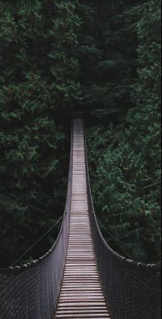 a long suspension bridge in the middle of a forest with lots of trees on both sides