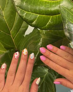 i LOVE LOVE LOVE the fruit trend!! so frickin cute #nails #nailtech #stgeorge #nailart #naildesign #trendingreels #nailinspiration #fruit #cutenails #sogelnails Short Fruit Nails, Fruitiger Areo, Fruit Nail Designs, Fruit Nails, Chakra Tattoo, Raspberry Fruit, I Love Love, Cute Fruit, Christmas Vibes