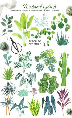 watercolor plants with different types and colors