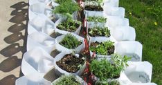 several white containers filled with plants on top of grass