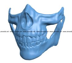 an image of a blue human skull with lower jaw and lower jaw bones showing teeth