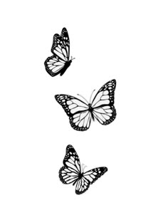 three black and white butterflies flying in the sky