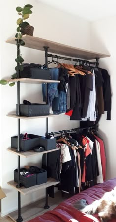 an organized closet with clothes and other items