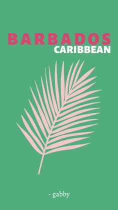 a green book cover with a pink palm leaf