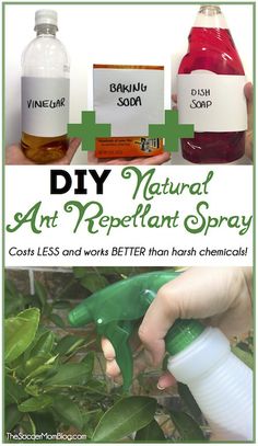 the instructions for how to use natural art repellent spray