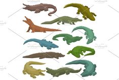 alligators in different colors and sizes