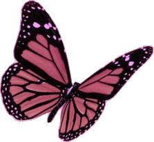 a pink butterfly flying through the air