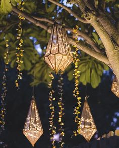 some lights hanging from a tree in the evening