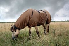 a horse wearing a blanket grazing in the grass on a cloudy day with storm clouds overhead