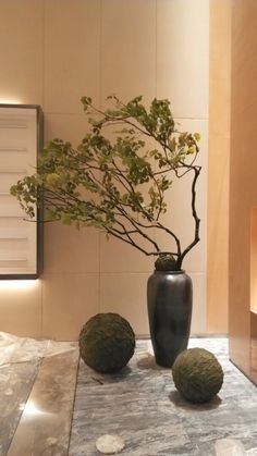 a black vase sitting on top of a table next to two green balls and a plant