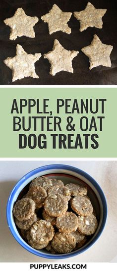 apple, peanut butter and oat dog treats