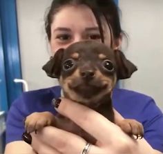 a woman holding a small brown dog in her arms and looking at the camera with an intense look on her face