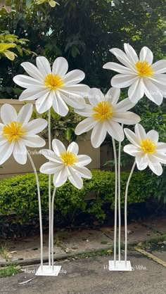 three white and yellow flowers are in front of some bushes