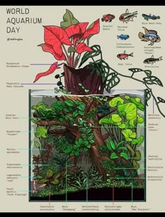 an image of the world aquarium day with plants and fish in it's water