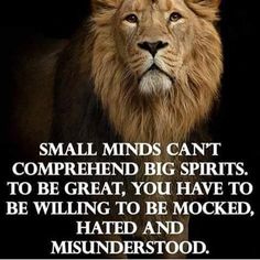 a lion with the quote small minds can't compreed big spirits to be great you have to be