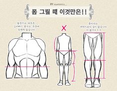 an image of a man's back and chest measurements