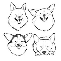 four different types of dogs with their faces drawn in black and white, including one dog's head