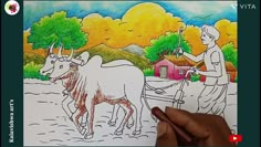 a drawing of two cows being pulled by a man