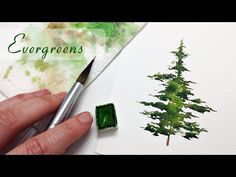 someone is painting a pine tree with green watercolors