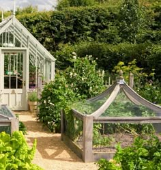 a garden with many different types of plants in it