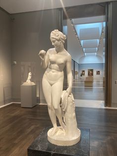 a white statue is in the middle of a room