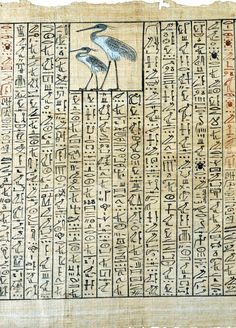 an ancient egyptian writing with two birds on it