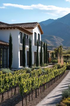 a white house surrounded by vines and mountains