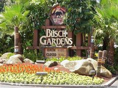 the sign for busch gardens is surrounded by flowers and palm trees in front of it