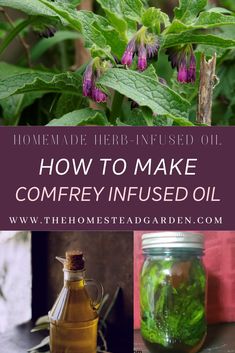 how to make comfy infused oil from homemade herb - infused oils and other natural ingredients